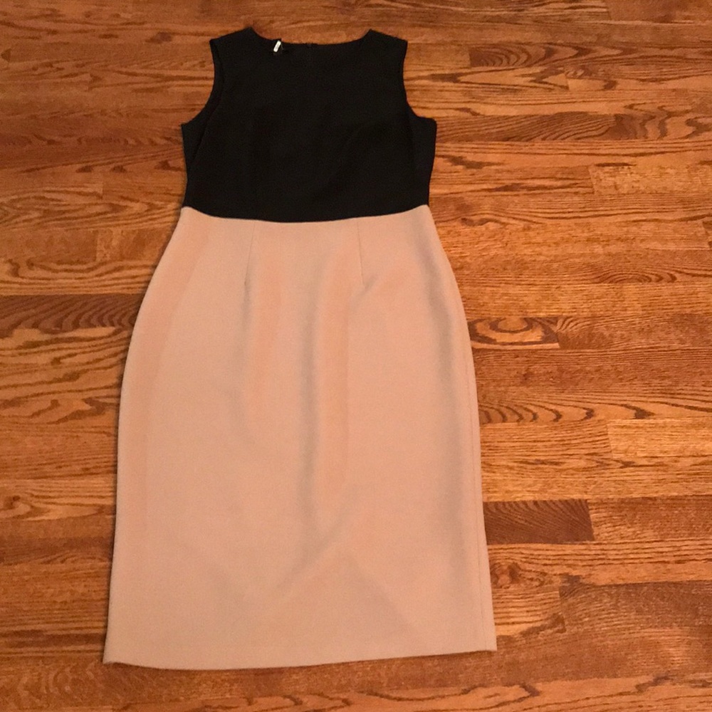 Ivy + Blu Sheath Dress